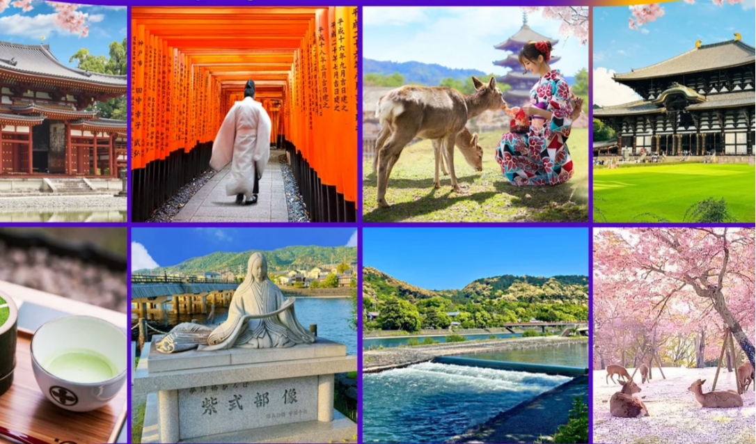 Hakone Tour