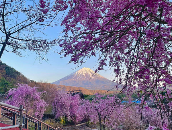 Best Way to Get from Tokyo to Mount Fuji - Keep Good Trip