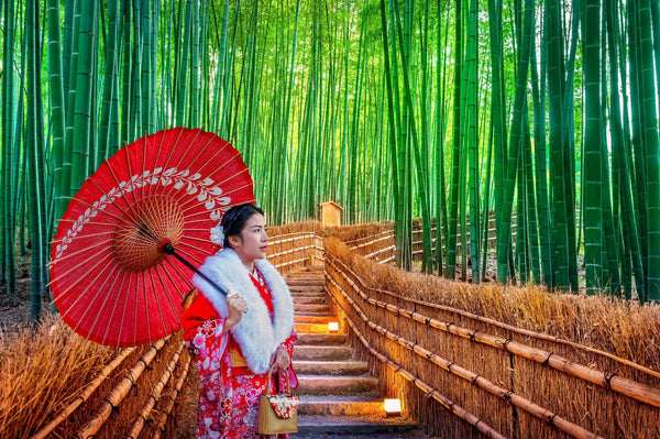 Arashiyama Bamboo Grove: How to Visit & Best Tours - Keep Good Trip