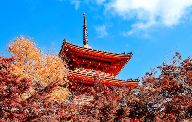 The Best Time to Visit Japan - Keep Good Trip