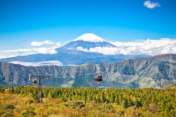 Hakone vs Kawaguchiko: Which is Better for Your First Mt. Fuji Trip? (2026 Guide)