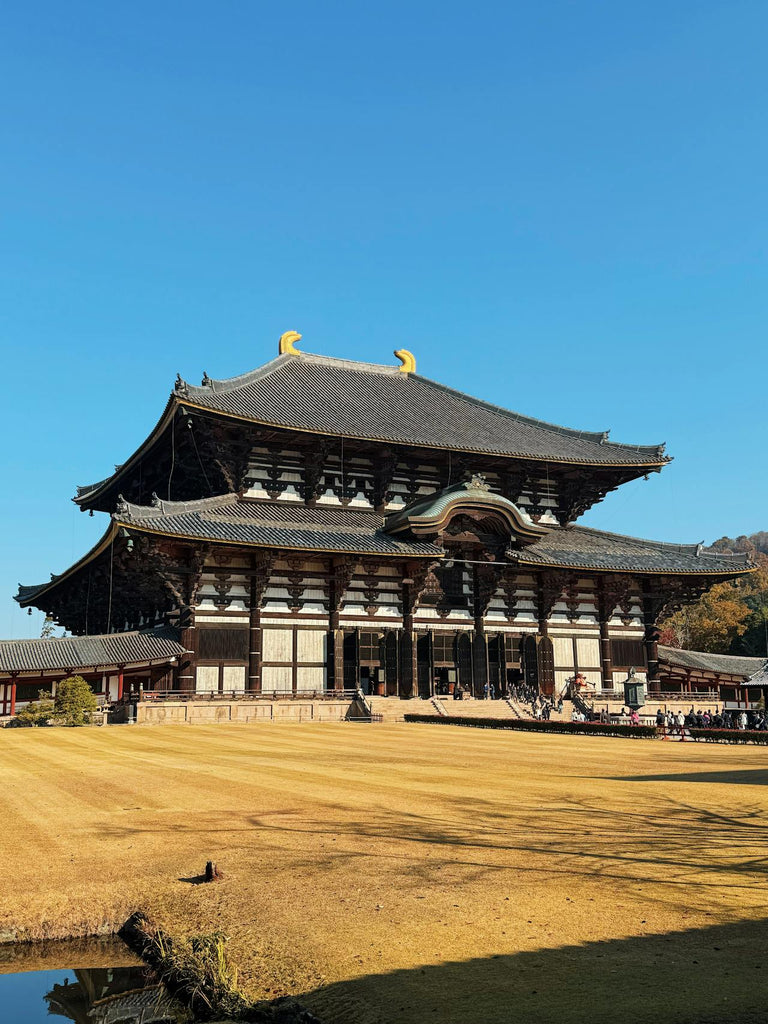 Things  to do in Nara - Keep Good Trip