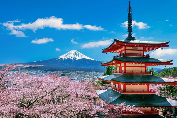 Best Mt Fuji Day Trip from Tokyo (2026 Guide) - Keep Good Trip