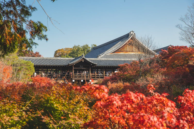 Best Things to Do in Kyoto on a Day Tour | Top Attractions & Activities