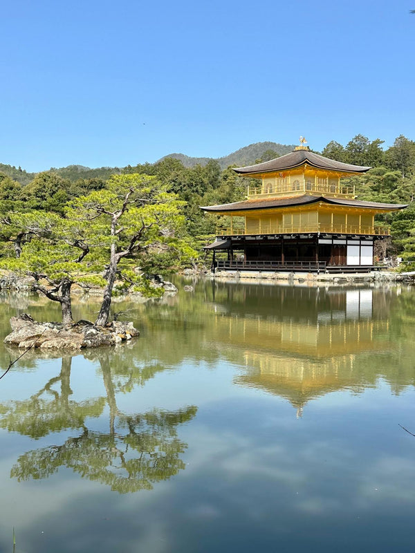 Unforgettable Day Tours in Japan: Explore Tokyo, Kyoto, and Beyond - Keep Good Trip