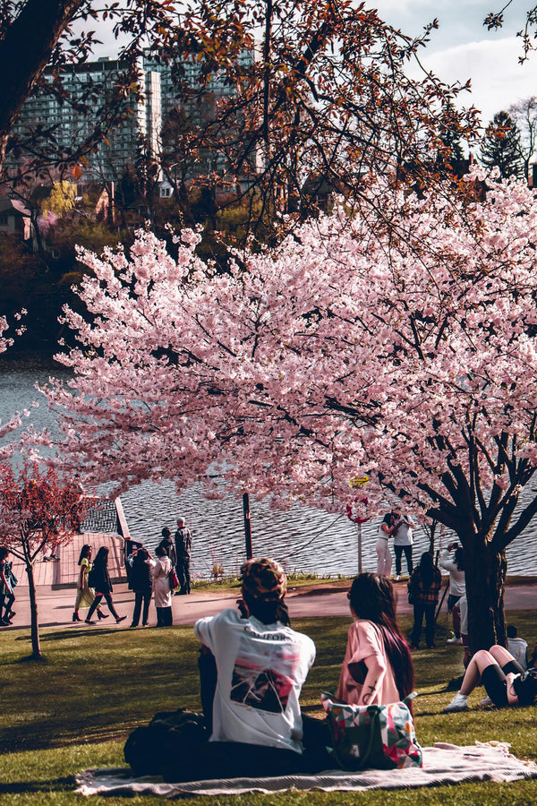 Experience the Best of Japan: All-Inclusive Fixed Tour Packages for Every Traveler - Keep Good Trip