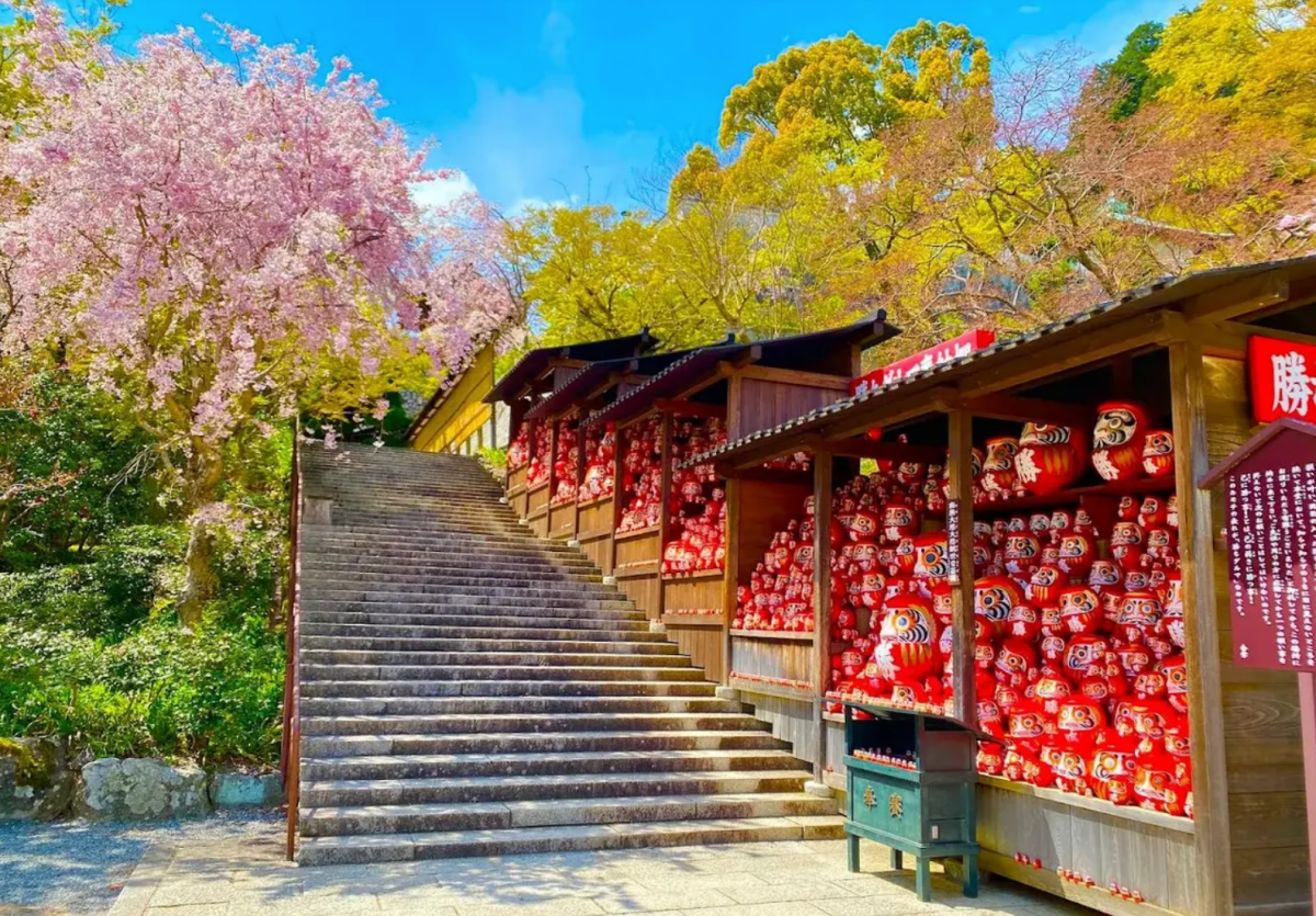 Osaka Day Tours - Keep Good Trip