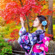 Fall Foliage