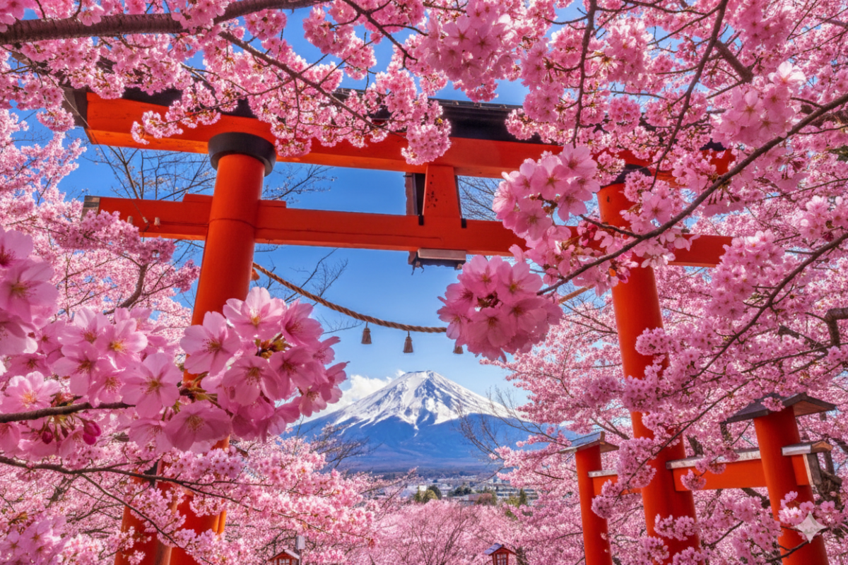 Tokyo Day Tours - Keep Good Trip