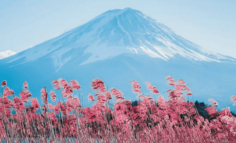 Mount Fuji - Keep Good Trip