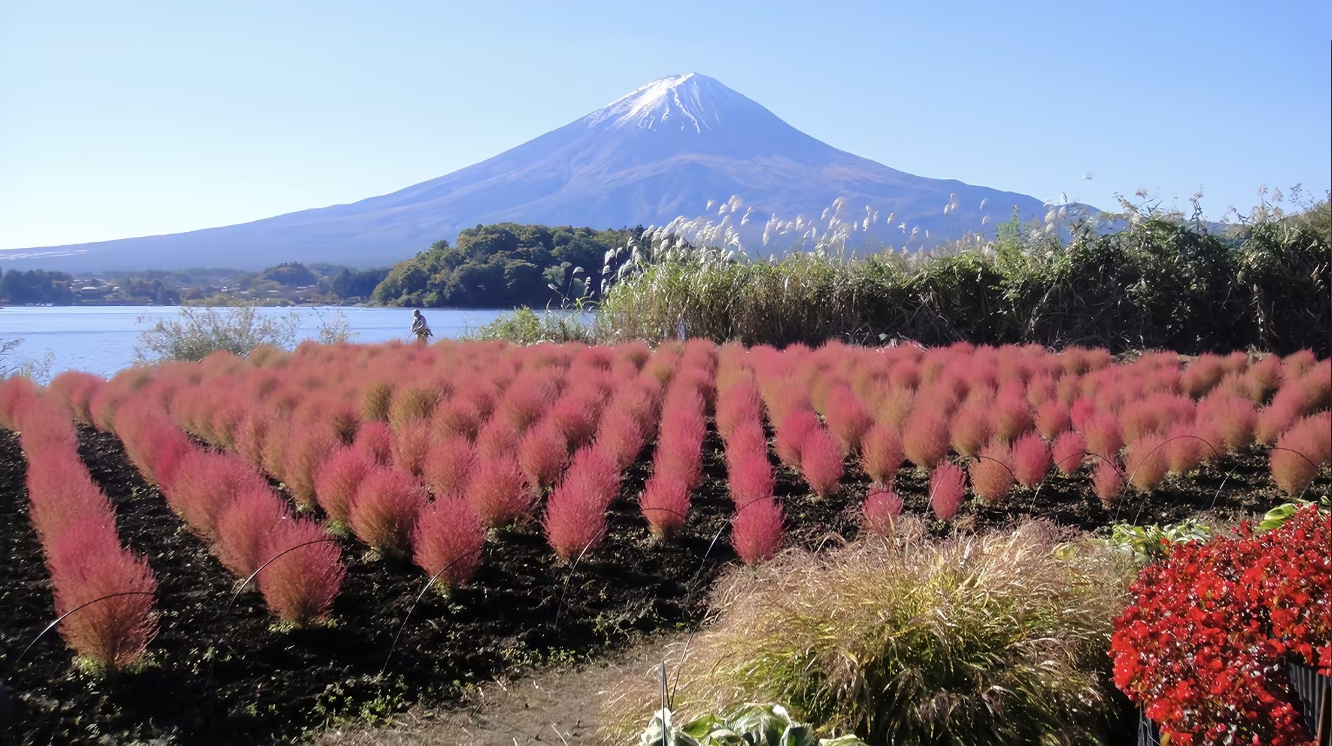 Kyoto tour mount fuji