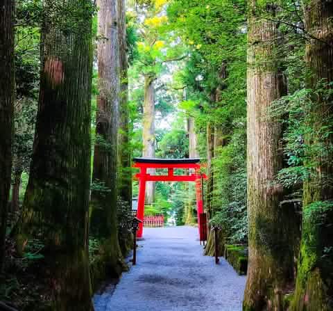 [Hakone & Atami Fireworks Day Tour] Mt. Fuji Hakone Shrine & Water Torii Gate & Lake Ashi Stroll & Atami Sunshine Beach & Atami Fireworks Festival (Depart from Tokyo) - Keep Good Trip