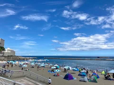 [Hakone & Atami Fireworks Day Tour] Mt. Fuji Hakone Shrine & Water Torii Gate & Lake Ashi Stroll & Atami Sunshine Beach & Atami Fireworks Festival (Depart from Tokyo) - Keep Good Trip