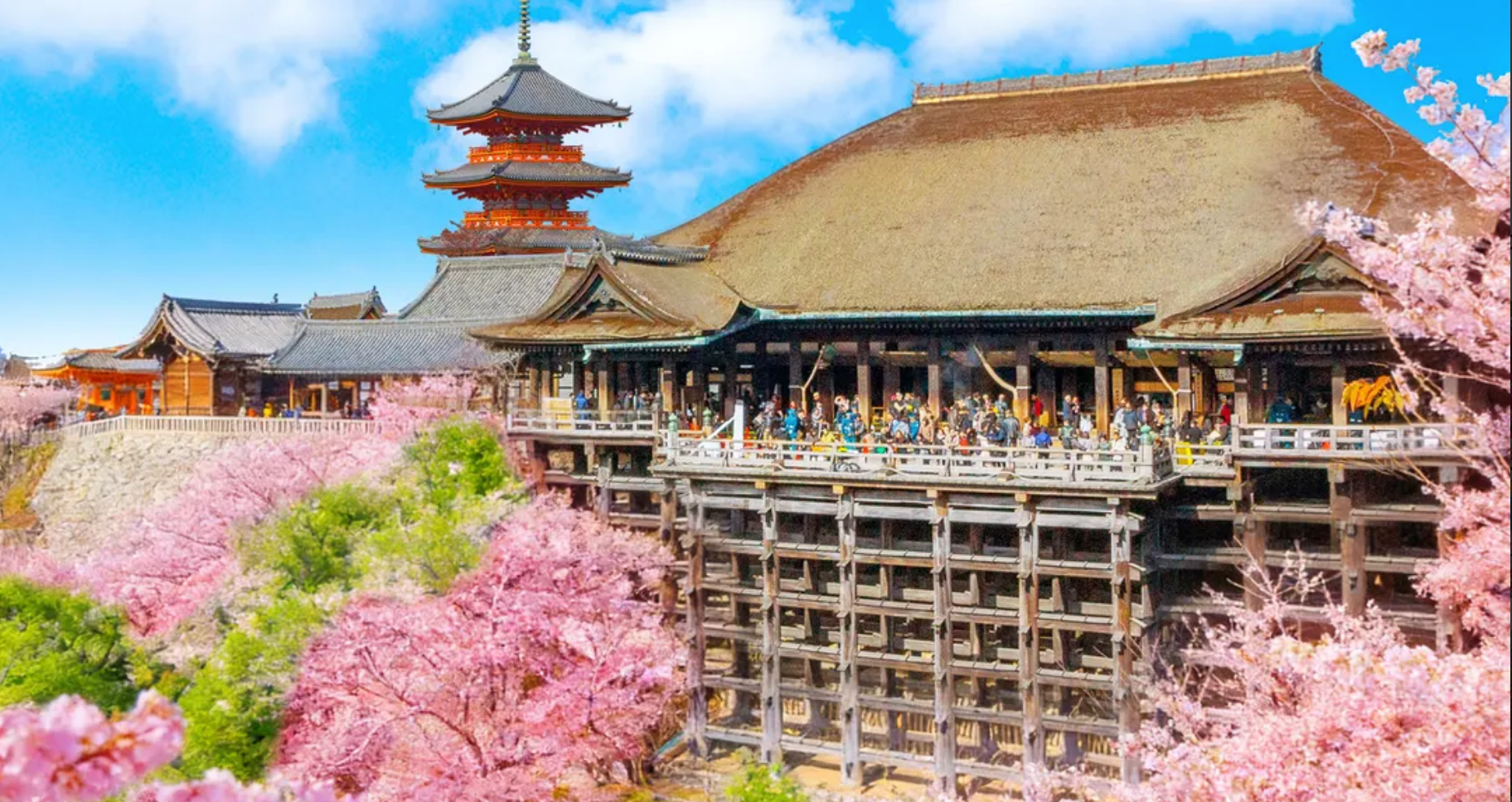 Kyoto World Heritage & Uji Scenery One-day Tour (From Osaka/Kyoto)
