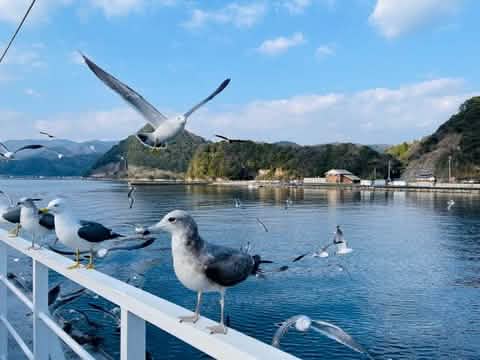 Kyoto Amanohashidate, Ine Funaya, and Ine Bay Day Tour (from Osaka or Kyoto) - Keep Good Trip