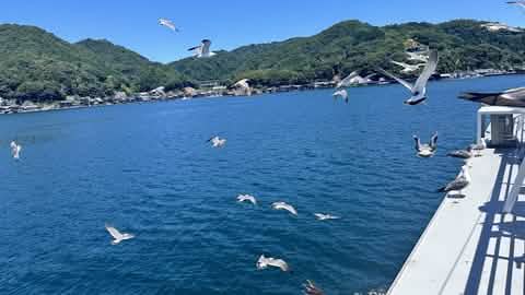 Kyoto Amanohashidate, Ine Funaya, and Ine Bay Day Tour (from Osaka or Kyoto) - Keep Good Trip
