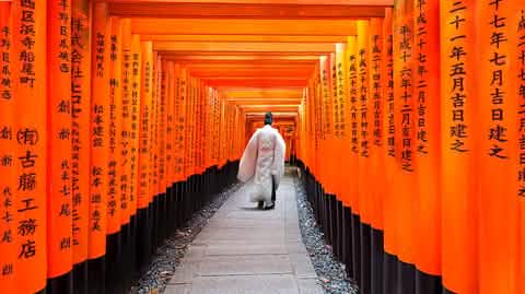 Kyoto & Nara Day Tour Arashiyama train, Fushimi Inari Shrine - Keep Good Trip