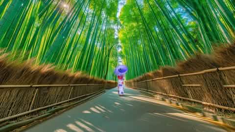 Kyoto & Nara Day Tour Arashiyama train, Fushimi Inari Shrine - Keep Good Trip