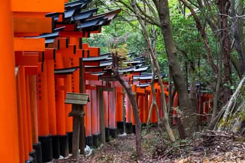 Kyoto & Nara Day Tour Arashiyama train, Fushimi Inari Shrine - Keep Good Trip