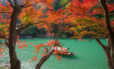 Kyoto & Nara Day Tour Arashiyama train, Fushimi Inari Shrine - Keep Good Trip