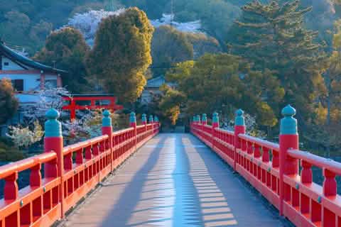 Kyoto World Heritage & Uji Scenery One - day Tour (From Osaka/Kyoto) - Keep Good Trip