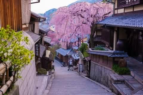 Kyoto World Heritage & Uji Scenery One - day Tour (From Osaka/Kyoto) - Keep Good Trip