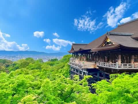 Kyoto World Heritage & Uji Scenery One - day Tour (From Osaka/Kyoto) - Keep Good Trip