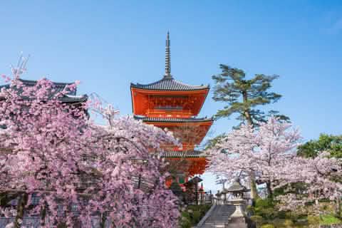 Kyoto World Heritage & Uji Scenery One - day Tour (From Osaka/Kyoto) - Keep Good Trip