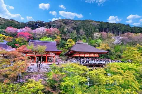 Kyoto World Heritage & Uji Scenery One - day Tour (From Osaka/Kyoto) - Keep Good Trip
