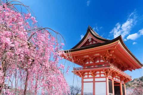 Kyoto World Heritage & Uji Scenery One - day Tour (From Osaka/Kyoto) - Keep Good Trip