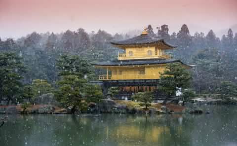 Kyoto World Heritage & Uji Scenery One - day Tour (From Osaka/Kyoto) - Keep Good Trip