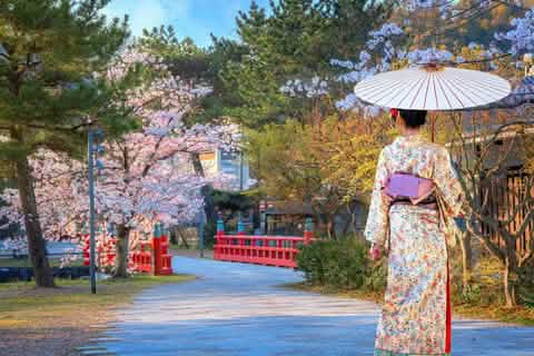 Kyoto World Heritage & Uji Scenery One - day Tour (From Osaka/Kyoto) - Keep Good Trip