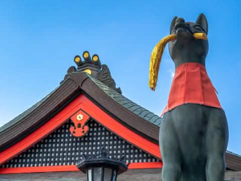 [Kyoto Panoramic Day Tour] Nijo Castle & Kinkakuji Temple & Fushimi Inari Shrine Thousand Torii Gates & Arashiyama Togetsukyo Bridge & Kimono Forest & Bamboo Forest Trail (Depart from Osaka or Kyoto) - Keep Good Trip