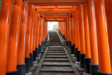 [Kyoto Panoramic Day Tour] Nijo Castle & Kinkakuji Temple & Fushimi Inari Shrine Thousand Torii Gates & Arashiyama Togetsukyo Bridge & Kimono Forest & Bamboo Forest Trail (Depart from Osaka or Kyoto) - Keep Good Trip