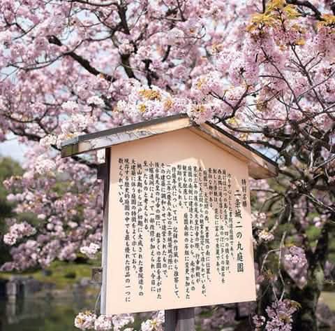 [Kyoto Panoramic Day Tour] Nijo Castle & Kinkakuji Temple & Fushimi Inari Shrine Thousand Torii Gates & Arashiyama Togetsukyo Bridge & Kimono Forest & Bamboo Forest Trail (Depart from Osaka or Kyoto) - Keep Good Trip