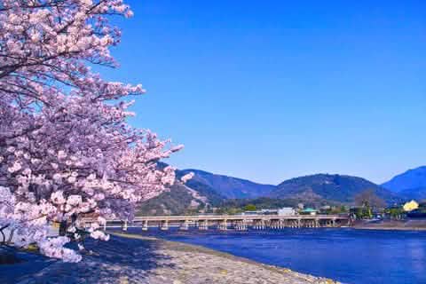 [Kyoto Panoramic Day Tour] Nijo Castle & Kinkakuji Temple & Fushimi Inari Shrine Thousand Torii Gates & Arashiyama Togetsukyo Bridge & Kimono Forest & Bamboo Forest Trail (Depart from Osaka or Kyoto) - Keep Good Trip