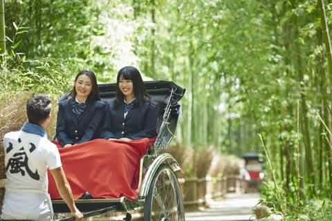 [Kyoto Panoramic Day Tour] Nijo Castle & Kinkakuji Temple & Fushimi Inari Shrine Thousand Torii Gates & Arashiyama Togetsukyo Bridge & Kimono Forest & Bamboo Forest Trail (Depart from Osaka or Kyoto) - Keep Good Trip