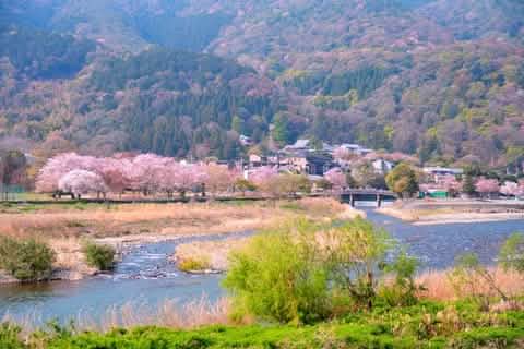 [Kyoto Panoramic Day Tour] Nijo Castle & Kinkakuji Temple & Fushimi Inari Shrine Thousand Torii Gates & Arashiyama Togetsukyo Bridge & Kimono Forest & Bamboo Forest Trail (Depart from Osaka or Kyoto) - Keep Good Trip
