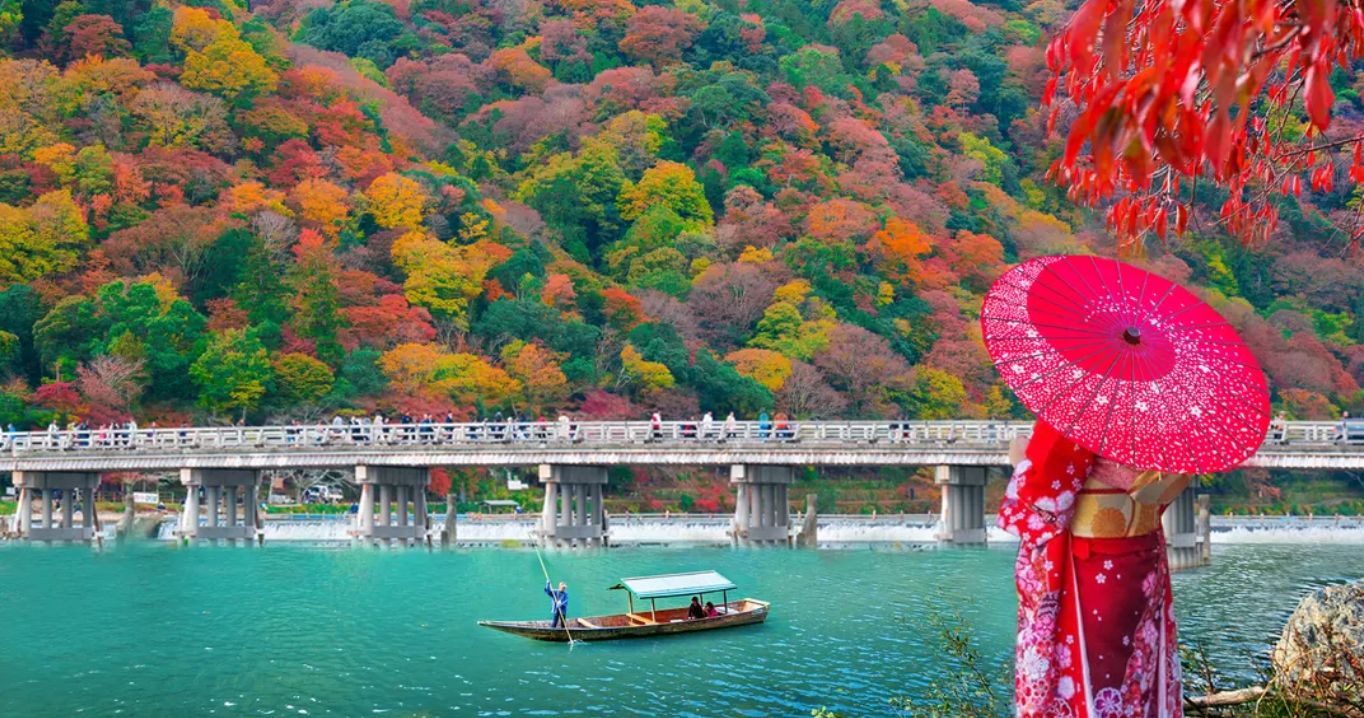 [Kyoto & Nara One-Day Tour] Arashiyama Torokko Train, Nara Park, Fushimi Inari Shrine Senbon Torii, Togetsukyo Bridge & Bamboo Grove (Depart from Osaka or Kyoto)