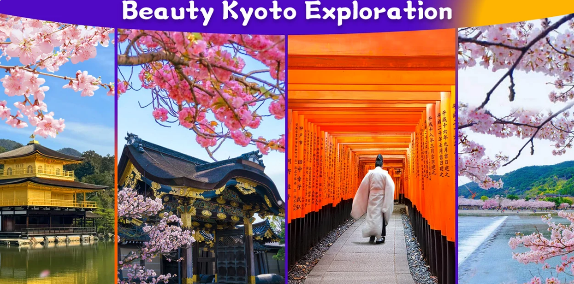 [Kyoto Panoramic Day Tour] Nijo Castle & Kinkakuji Temple & Fushimi Inari Shrine Thousand Torii Gates & Arashiyama Togetsukyo Bridge & Kimono Forest & Bamboo Forest Trail (Depart from Osaka or Kyoto) - Keep Good Trip