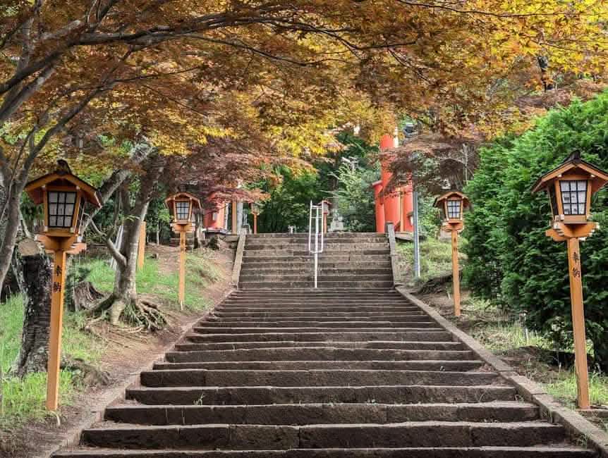 Tokyo: Mount Fuji, Lake Kawaguchi and Oshino Hakkai Bus Tour - Keep Good Trip