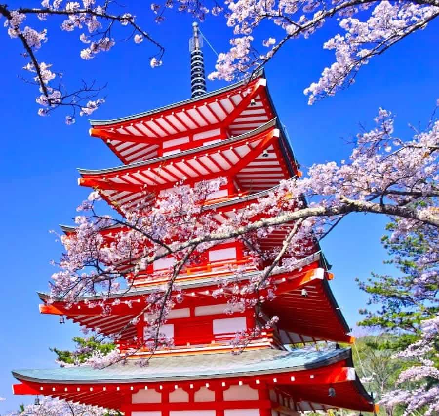 Tokyo: Mount Fuji, Lake Kawaguchi and Oshino Hakkai Bus Tour - Keep Good Trip