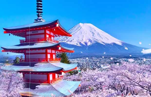 Tokyo: Mount Fuji, Lake Kawaguchi and Oshino Hakkai Bus Tour - Keep Good Trip