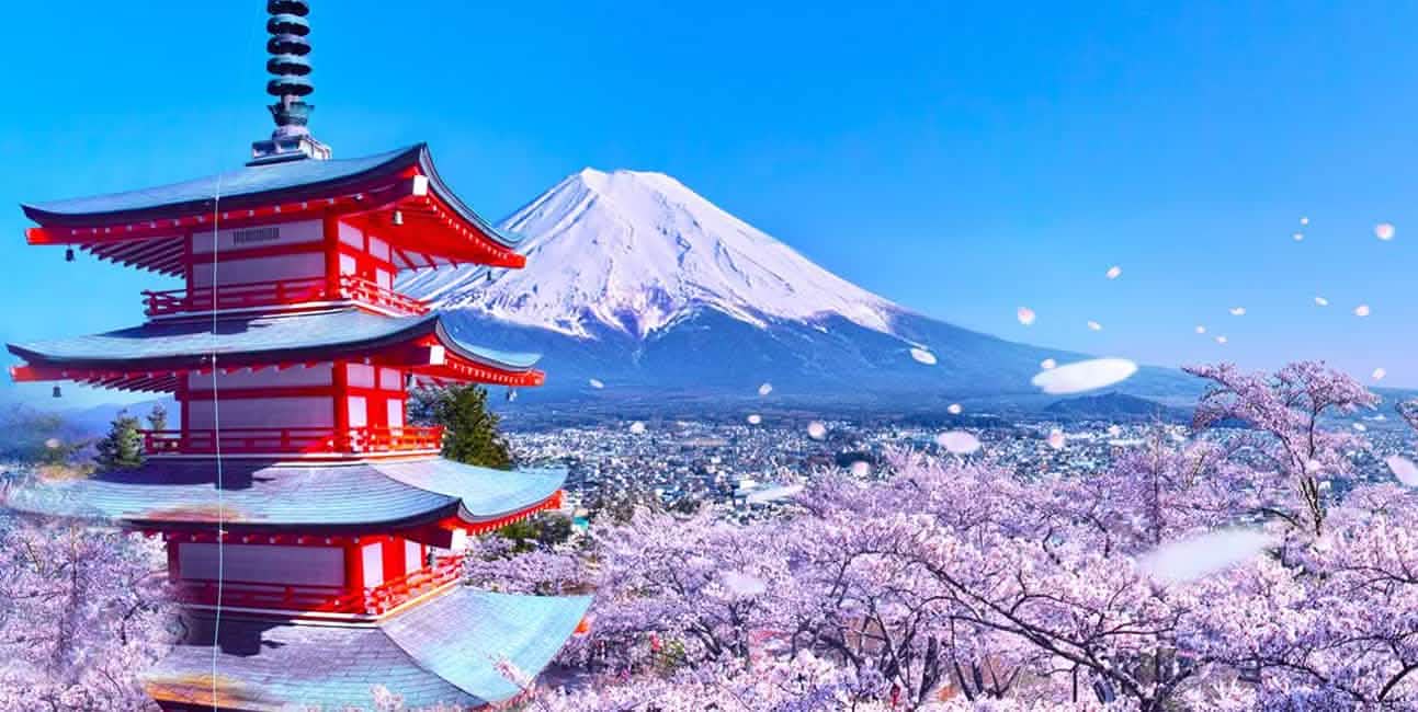 Tokyo: Mount Fuji, Lake Kawaguchi and Oshino Hakkai Bus Tour - Keep Good Trip