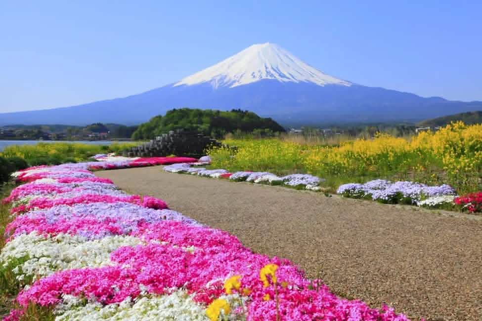 Tokyo: Mount Fuji, Lake Kawaguchi and Oshino Hakkai Bus Tour - Keep Good Trip