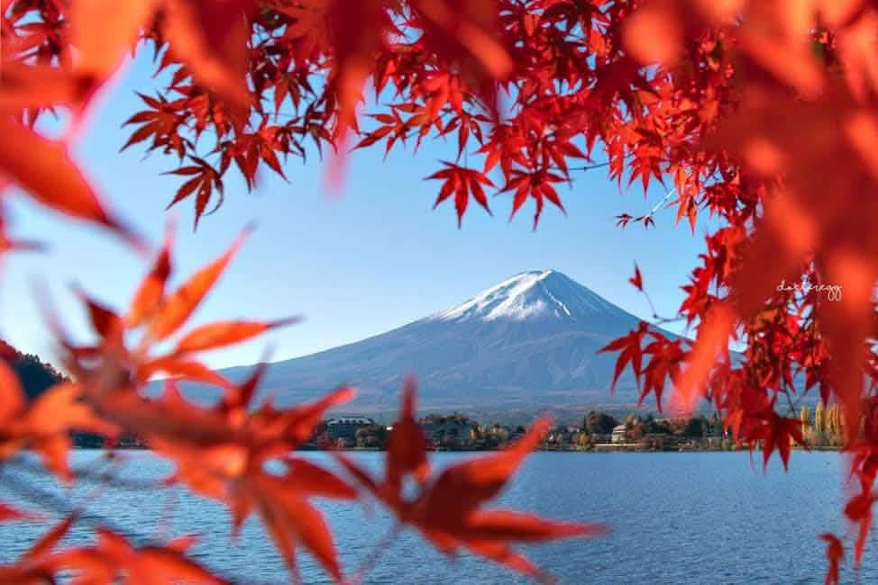 Tokyo: Mount Fuji, Lake Kawaguchi and Oshino Hakkai Bus Tour - Keep Good Trip