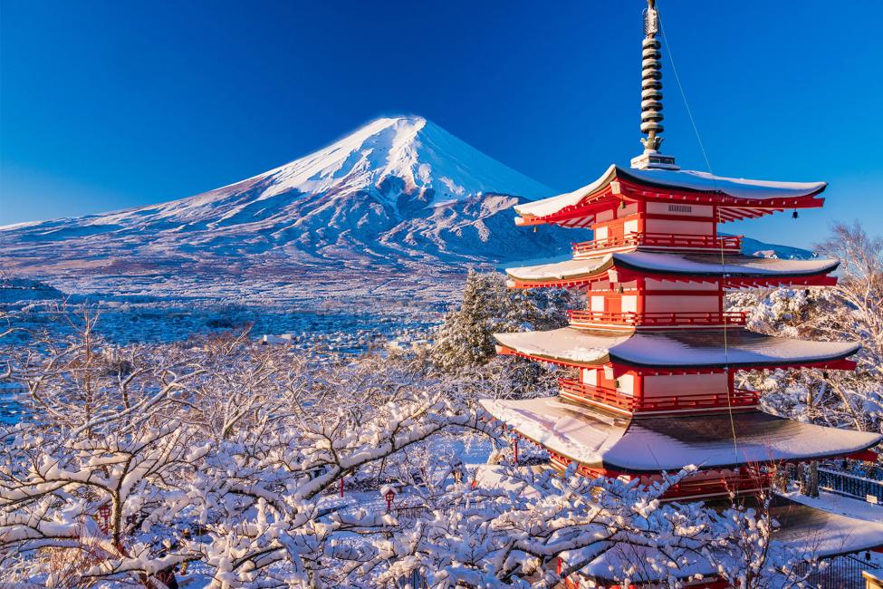Mt. Fuji Photo Spots: Arakurayama, Oshino Hakkai, Kawaguchi Tour - Keep Good Trip