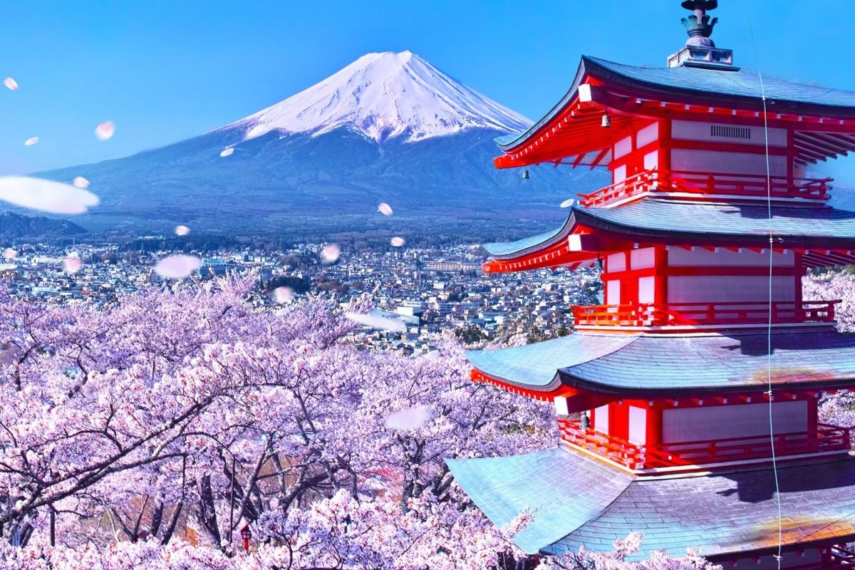 Mt. Fuji Photo Spots: Arakurayama, Oshino Hakkai, Kawaguchi Tour - Keep Good Trip