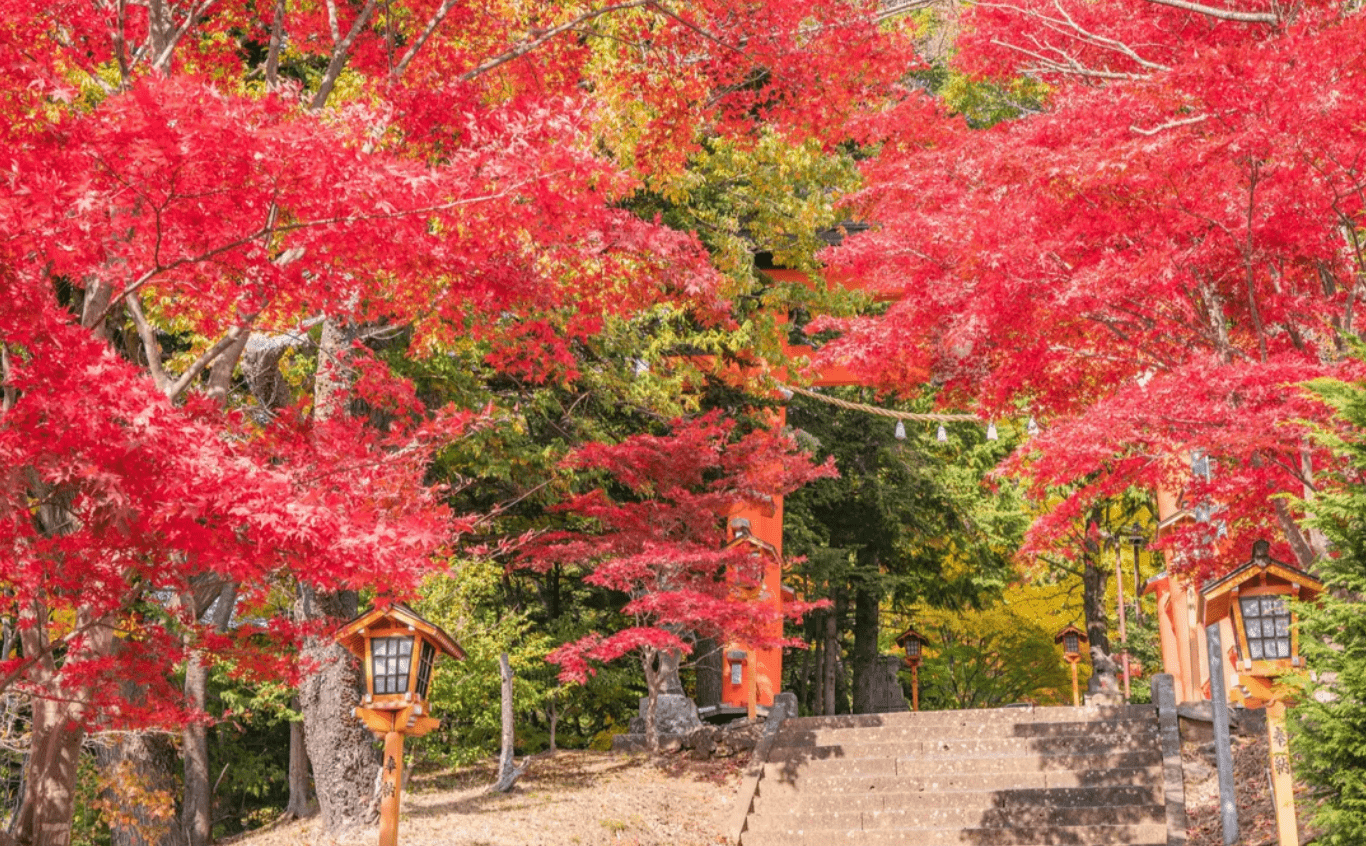 Mount Fuji Amazing View Day Tour from Tokyo - Keep Good Trip