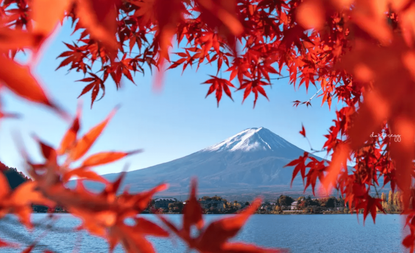 Mount Fuji Amazing View Day Tour from Tokyo - Keep Good Trip